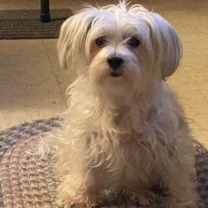 Meet your Posher, Joseph